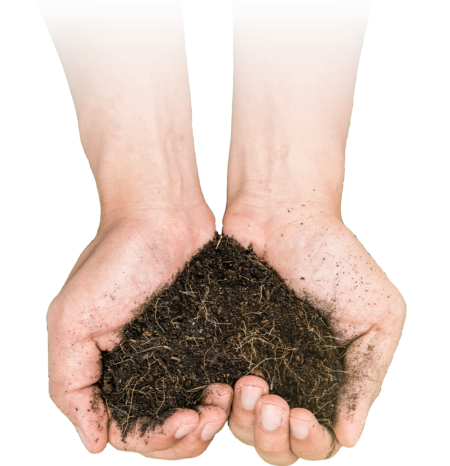 Healthy Soil Service Seven Lakes NC