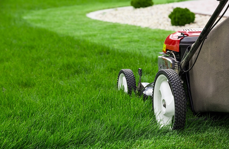 Lawn Care Tips Seven Lakes NC