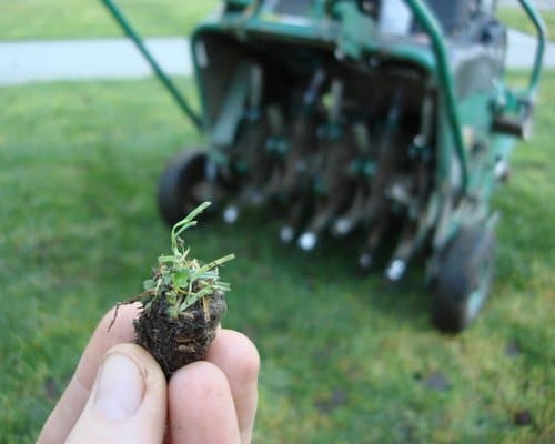 Benefits of Lawn Aeration