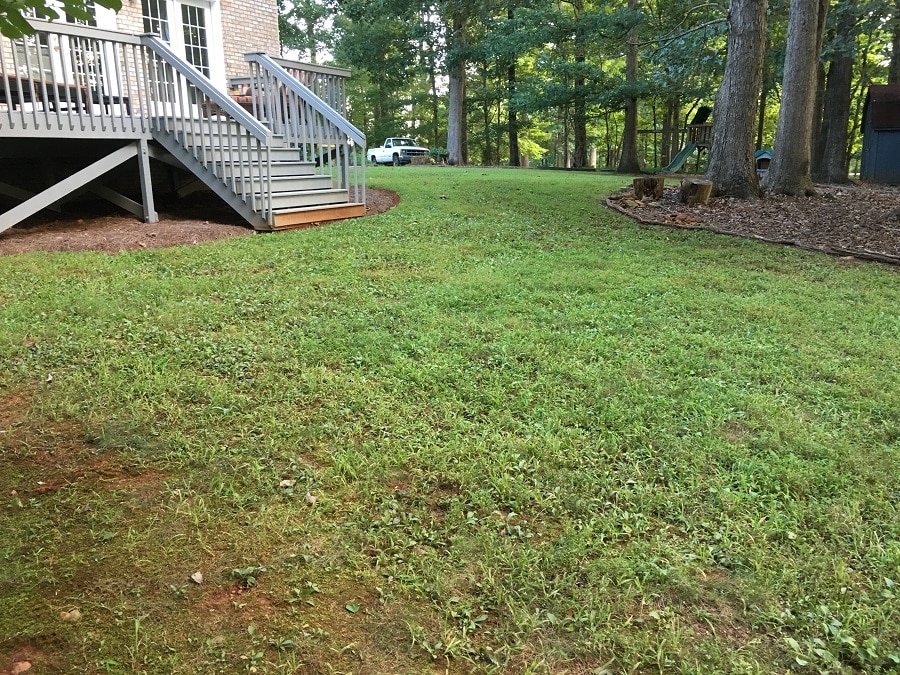 Before Nature's Select Lawn Care