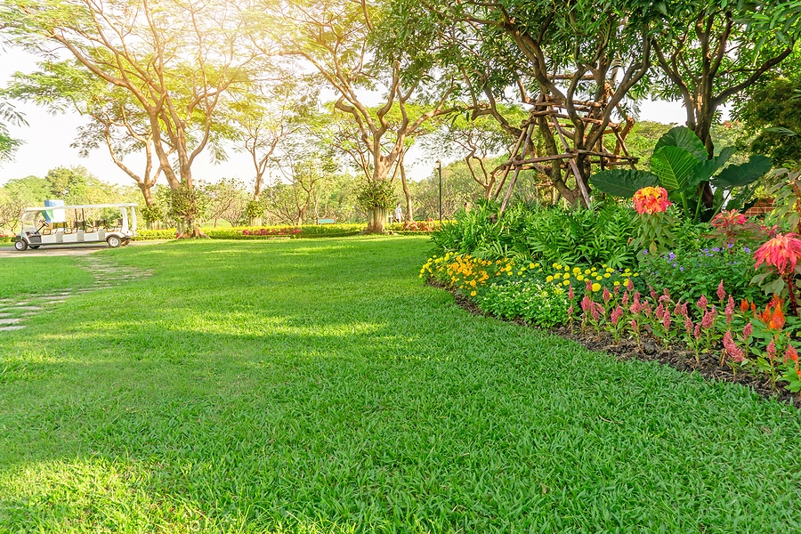 3 FAQs About Biological Lawn Care