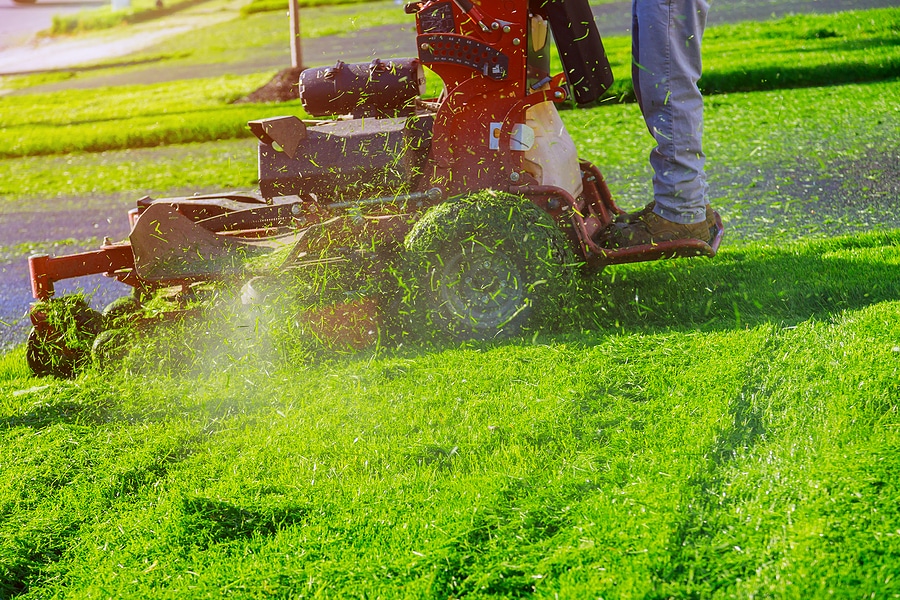 3 Reasons Lawn Care Services Are Worth It