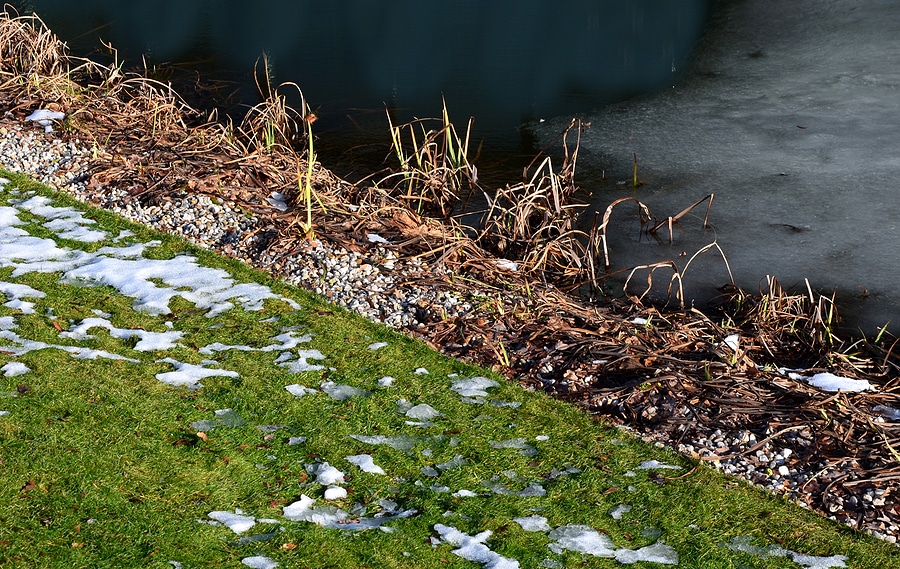 How Snow and Ice Impact Your Lawn