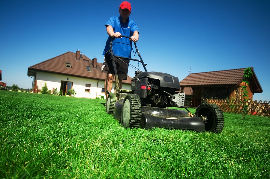 Your Spring Lawn Care Checklist