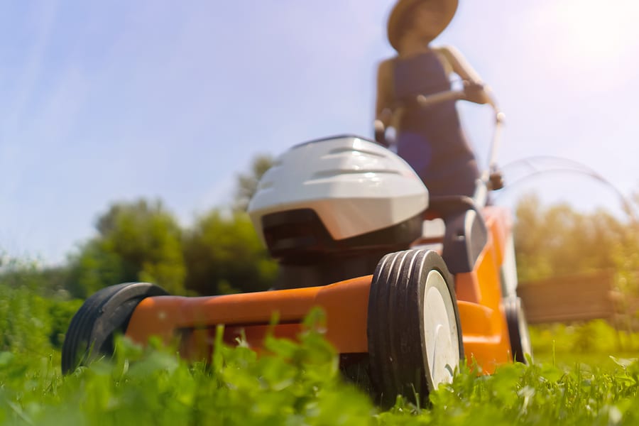 How Often Should I Be Mowing the Lawn?