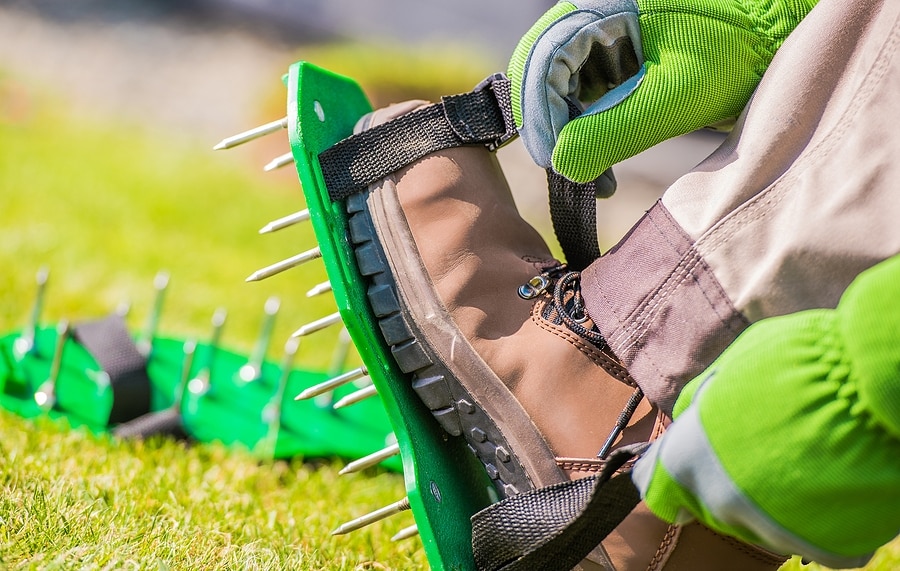 3 Reasons to Aerate Your Lawn Right Now