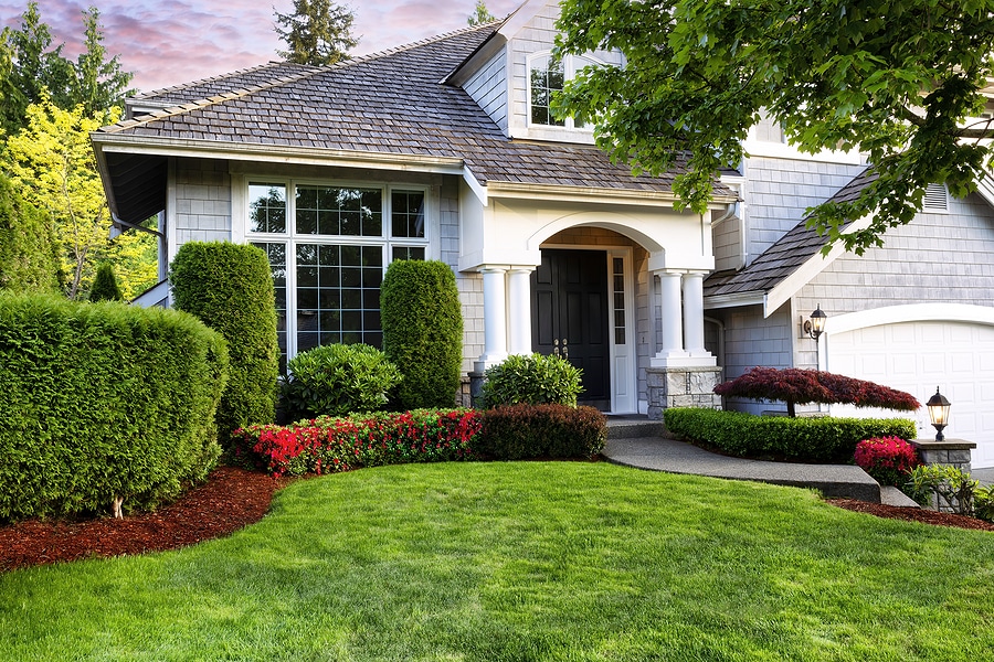 4 Benefits of Biological Lawn Care