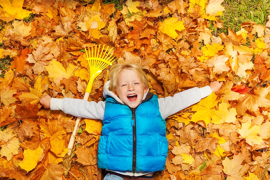 3 Reasons Why Leaves Should Stay on the Ground