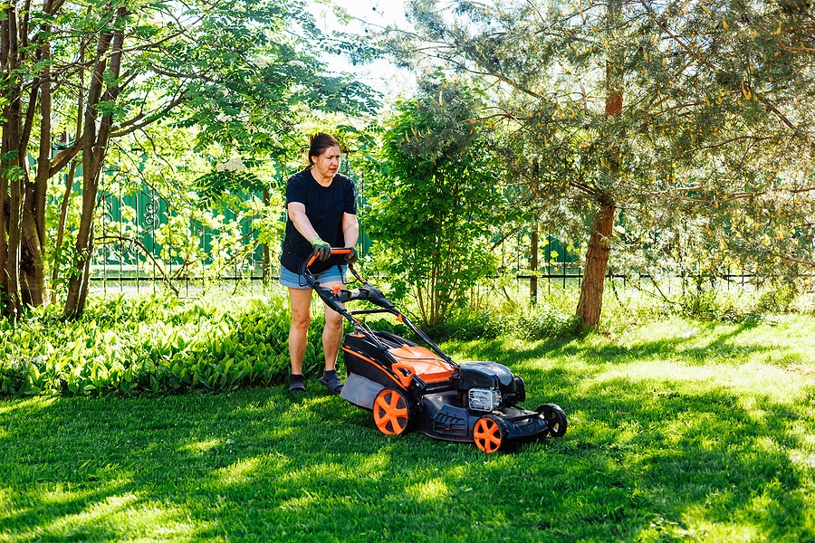 What are the Benefits of Spring Lawn Care?