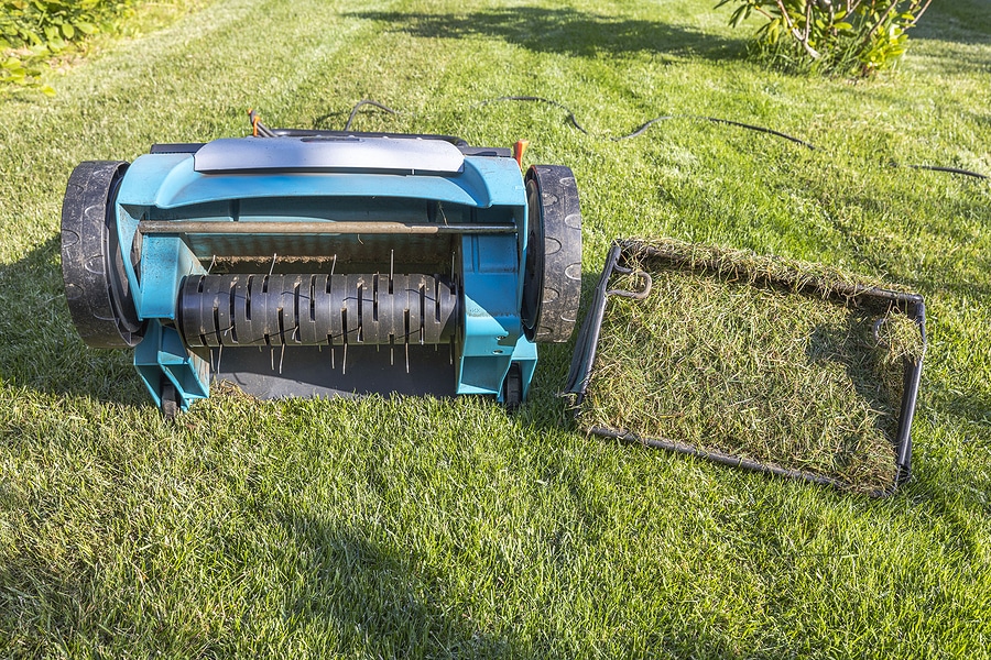 Aeration: Breathing Life into Your Lawn's Soil